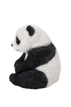 Load image into Gallery viewer, Small Panda Cub Sitting
