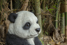 Load image into Gallery viewer, Small Panda Cub Sitting

