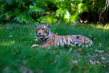 Load image into Gallery viewer, Tiger Laying Down
