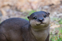 Load image into Gallery viewer, Brown Standing Otter
