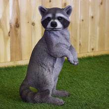 Load image into Gallery viewer, Standing Raccoon Statue
