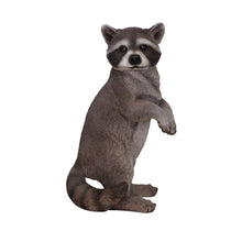 Load image into Gallery viewer, Standing Raccoon Statue
