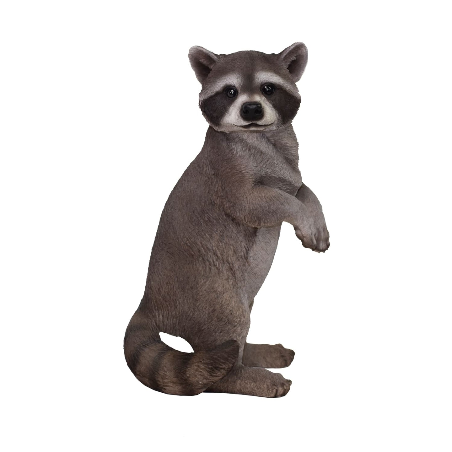 Standing Raccoon Statue