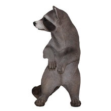 Load image into Gallery viewer, Standing Raccoon Statue
