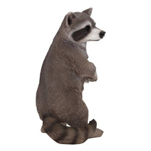 Load image into Gallery viewer, Standing Raccoon Statue
