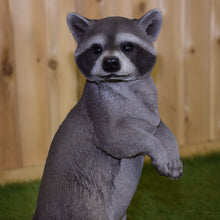Load image into Gallery viewer, Standing Raccoon Statue
