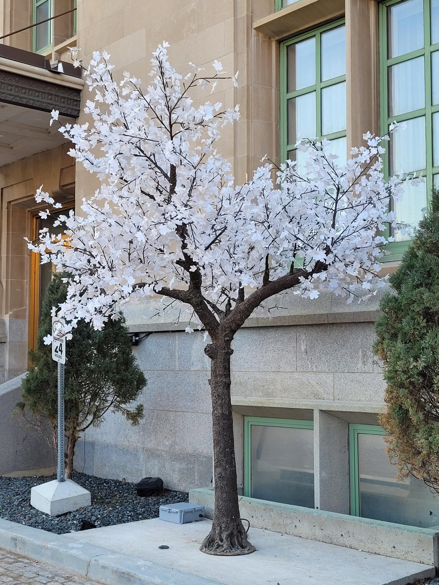 Led Maple Tree 10 Feet