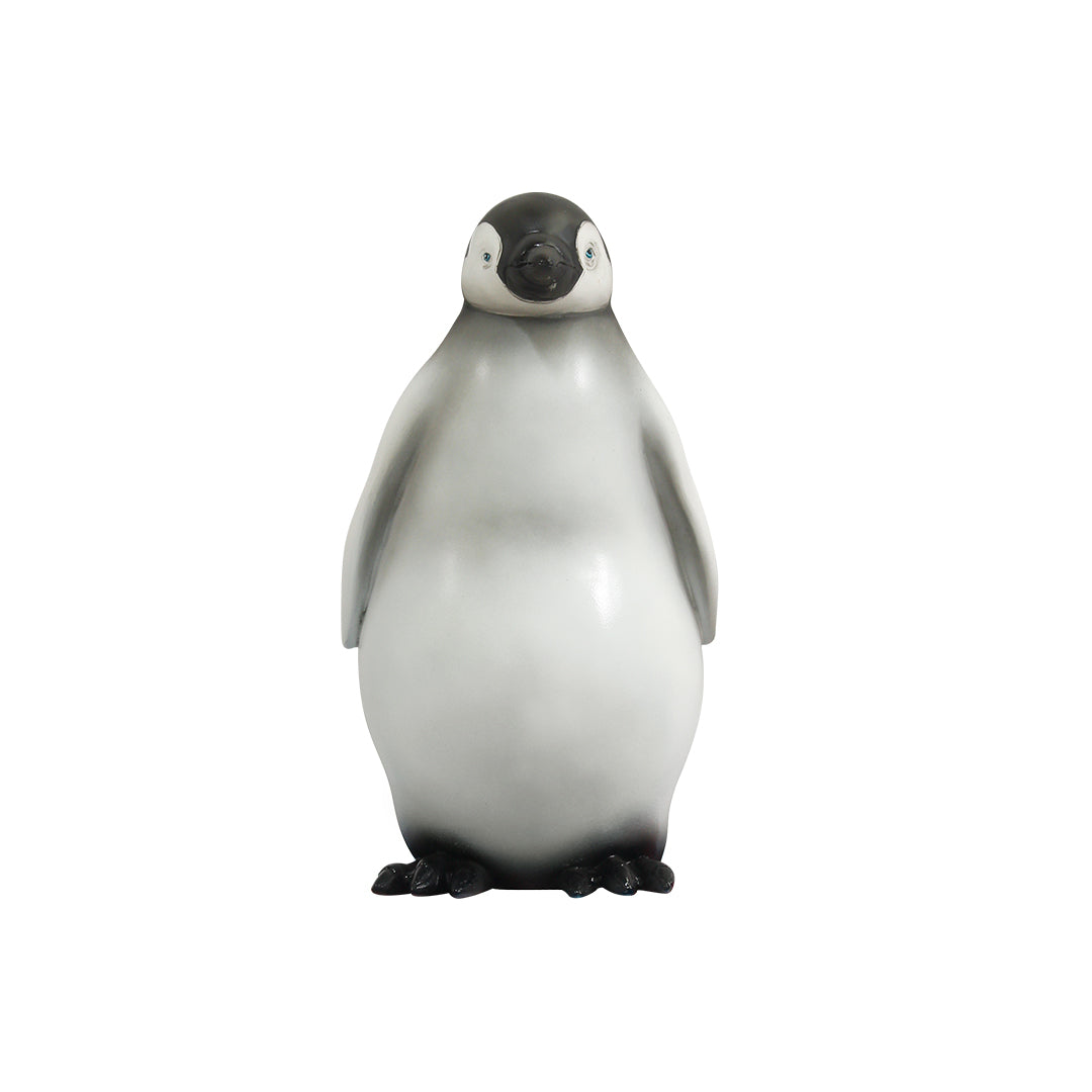 Baby Penguin