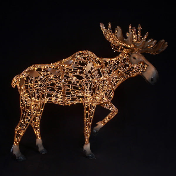 Mr. Moose Golden White - Standing