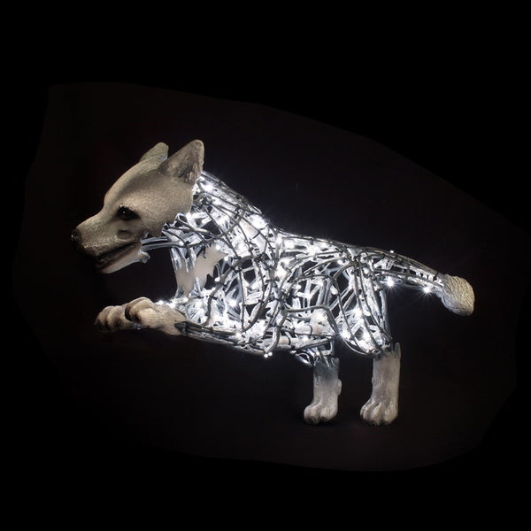 Wolf Lucky Cold White - Standing
