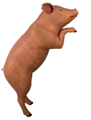 Made to Order: Pig On Hind Legs-Painted