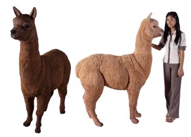 Made to Order: Alpaca