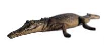 Made to Order: Crocodile Resting 4 Ft Long