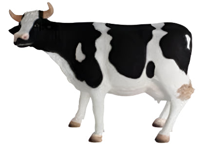 Made to Order: Ph-080139 - Cow Standing Black/White W/Head Up