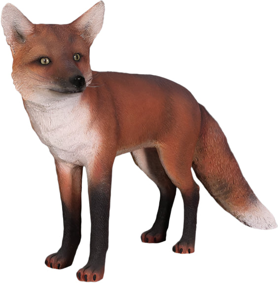 Made to Order: Red Fox
