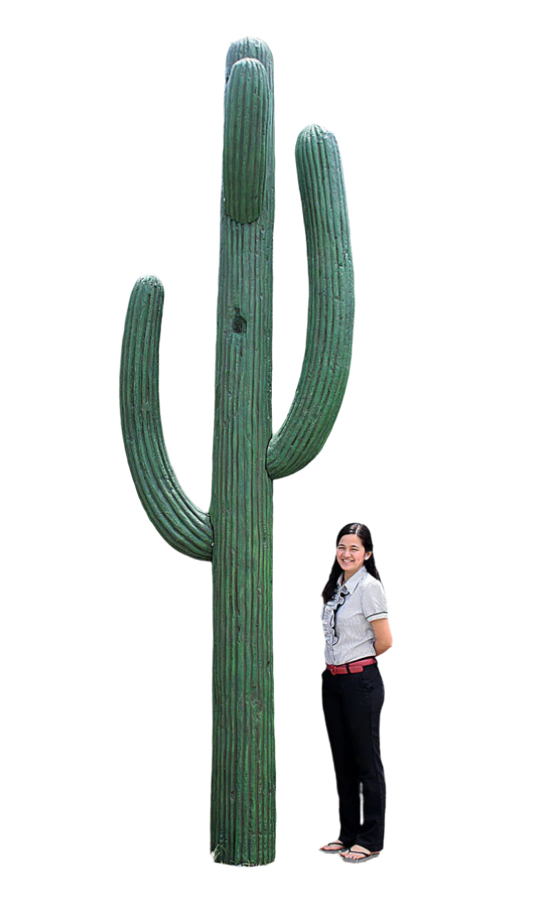 Made to Order: Saguaro Cactus