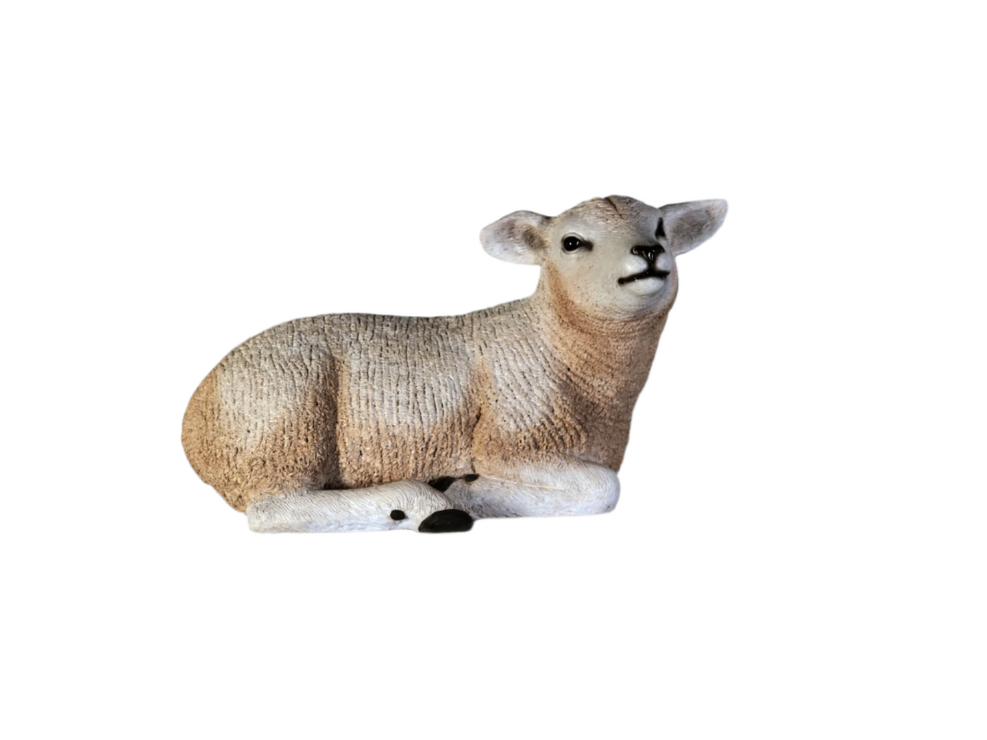 Made to Order: Texelaar Lamb Resting