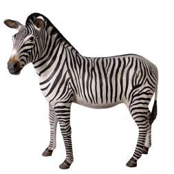 Made to Order: Zebra