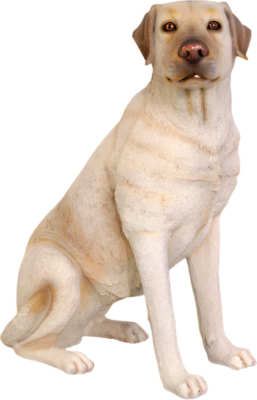 PH Studio: Sitting Labrador - MOQ 3