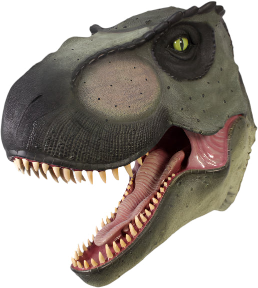 Made to Order: Giant T-Rex Head