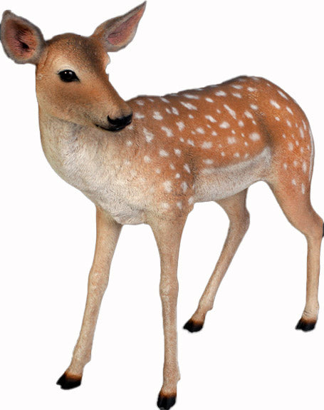 Made to Order: Fallow Deer Fawn