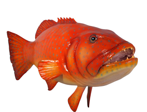 Made to Order: Ph-120045 - Giant Coral Trout