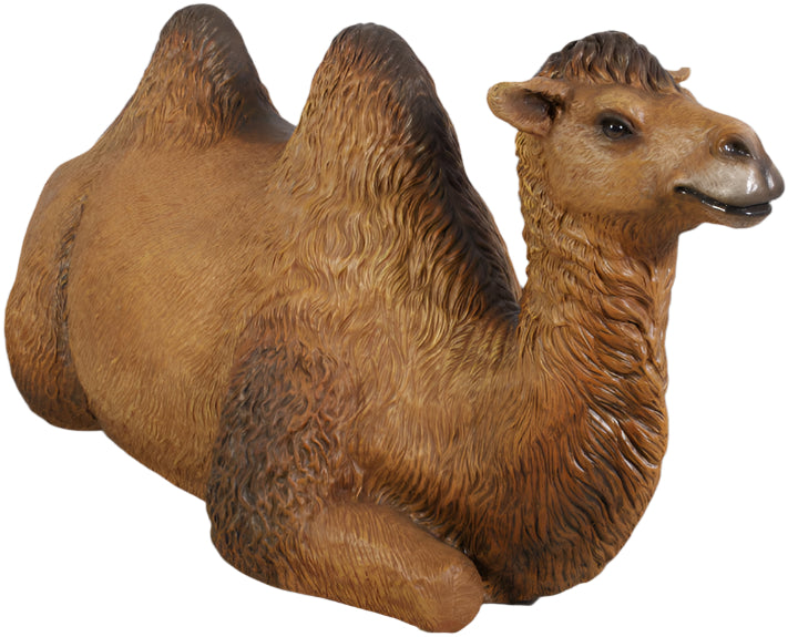 Made to Order: Bactrian Camel-Resting
