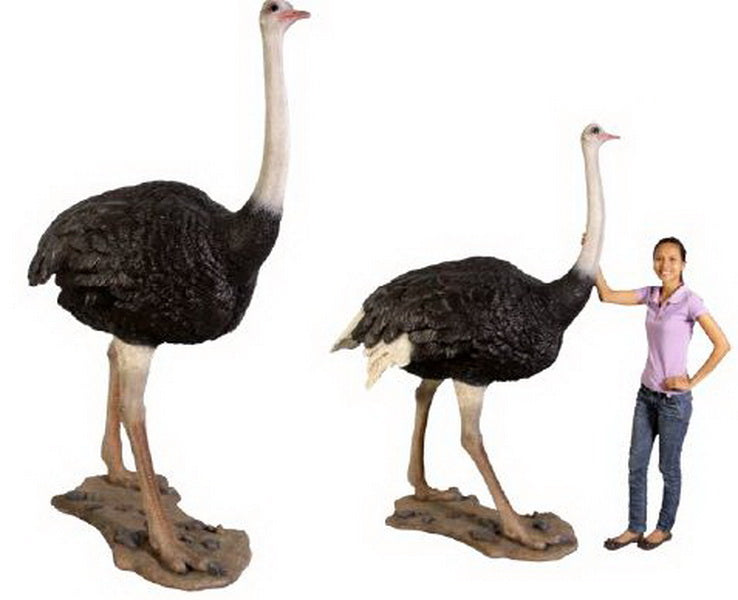 Made to Order: Ostrich