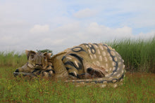 Load image into Gallery viewer, Made to Order: Sleeping Ankylosaurus
