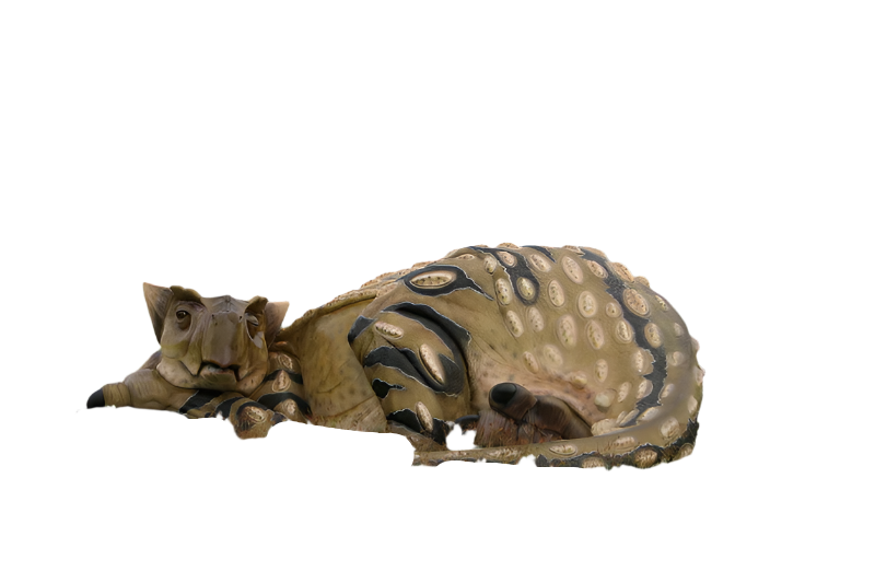 Made to Order: Sleeping Ankylosaurus