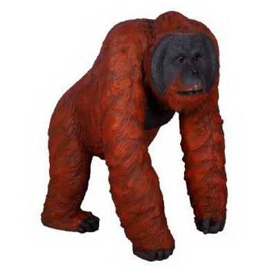 Made to Order: Walking Male Orangutan
