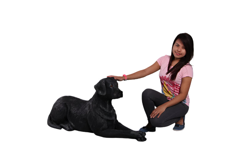 PH Studio: Labrador - Lying Down - MOQ 3