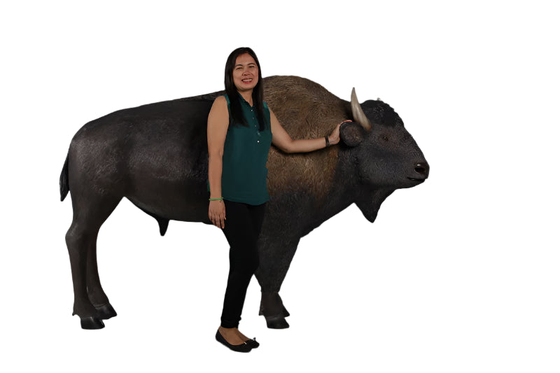 Made to Order: American Bison
