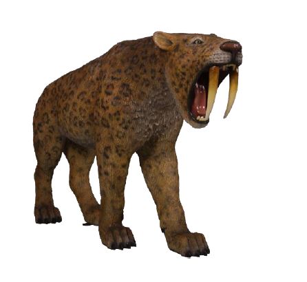 Made to Order: Smilodon Saber Toothed Cat