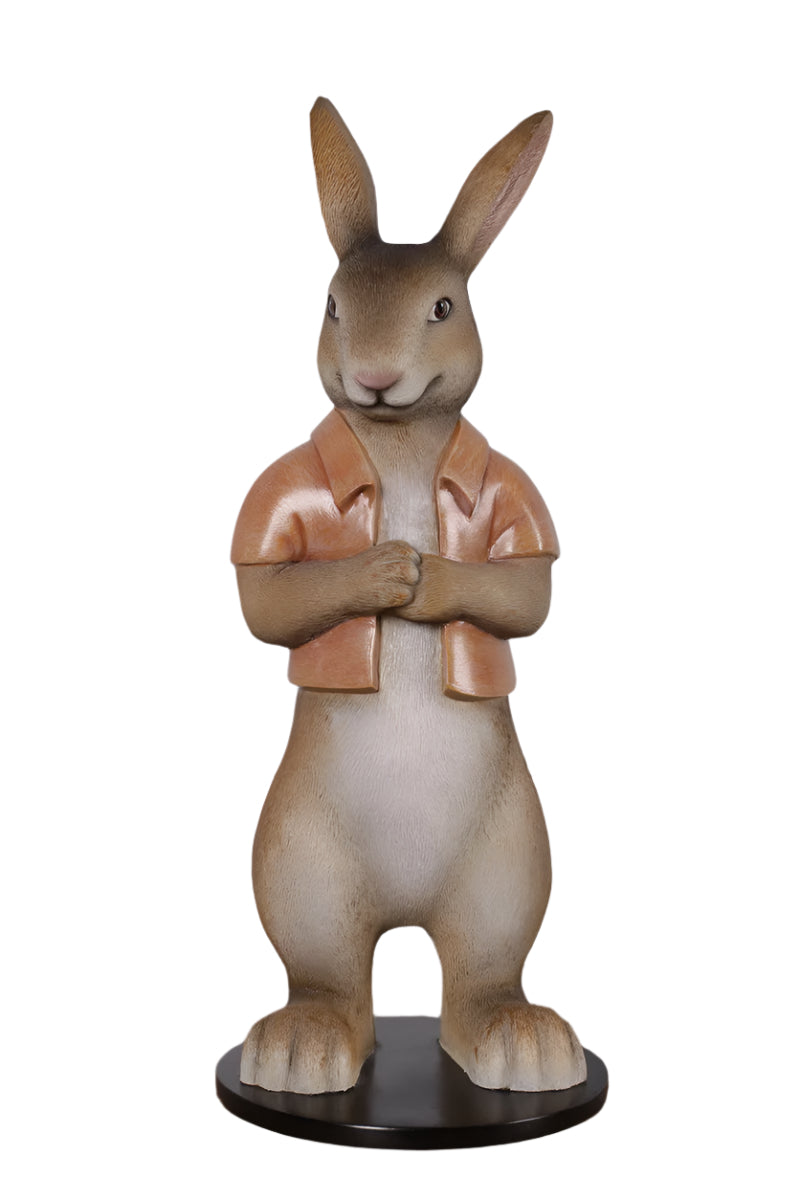 Rob Rabbit W/Short Jacket