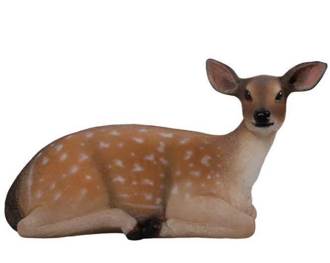 PH Studio: Fallow Deer Fawn Lying Down - MOQ 3