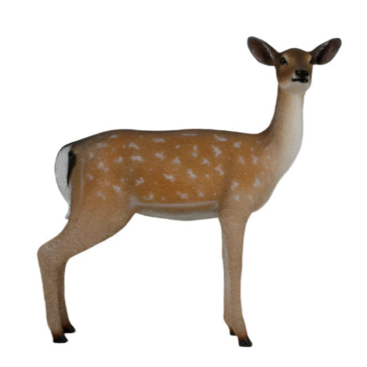 Made to Order: White-Tailed Deer-Doe