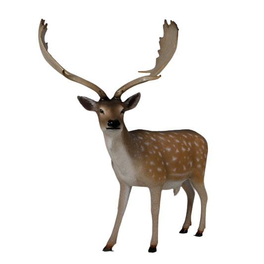 Made to Order: Fallow Deer-Buck