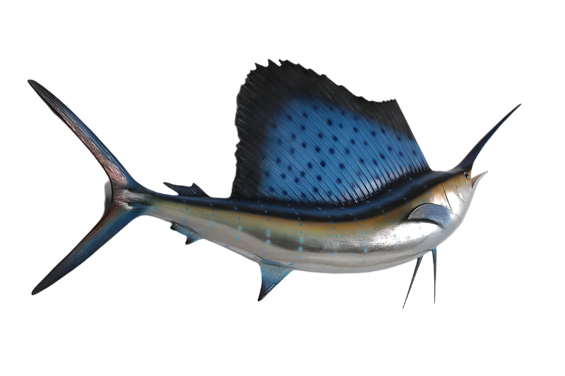 Made to Order: Sailfish 5Ft