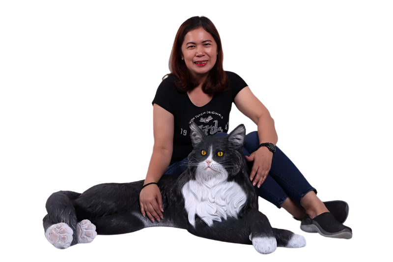 Made to Order: Maine Coon Cat
