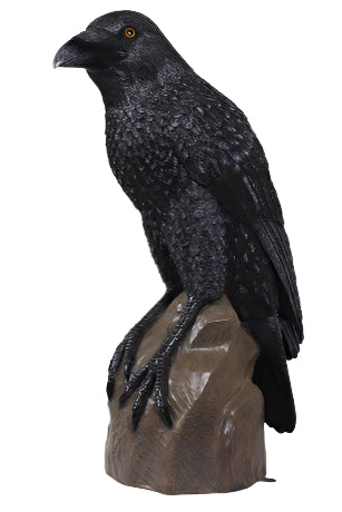Made to Order: Giant Mystic Night Raven