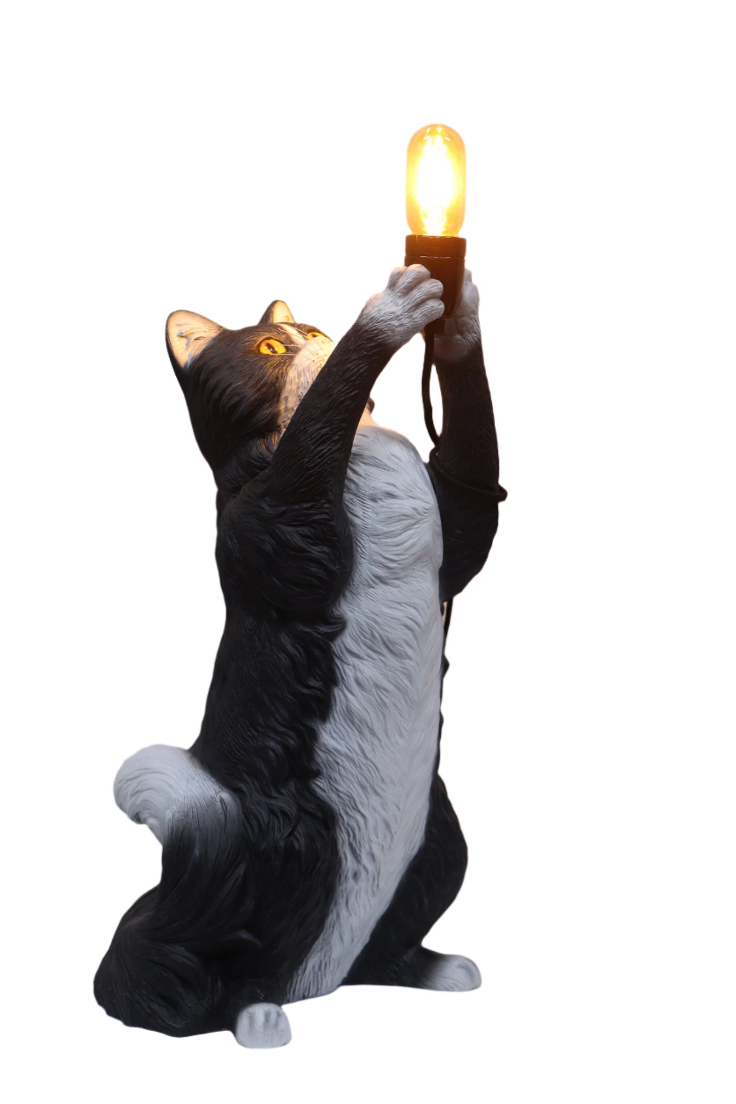 Made to Order: Cat Table Lumiere