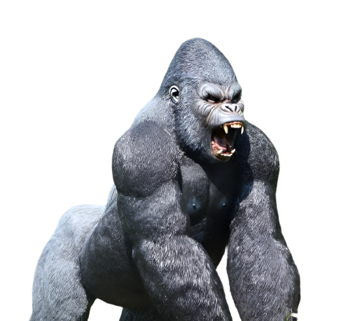 Made to Order: Male Gorilla - Larger Than Life