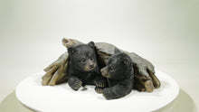 Load and play video in Gallery viewer, 87957-E - Black Bear Cubs Hiding Under Log Statue
