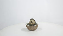 Load and play video in Gallery viewer, 87743-D - Coconut Hedgehog
