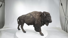 Load and play video in Gallery viewer, 87652-A - Large Size Bison Ornament
