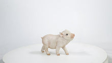 Load and play video in Gallery viewer, 87726-E - Baby Pig Standing - Pink
