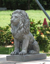 Load image into Gallery viewer, Lion Sitting
