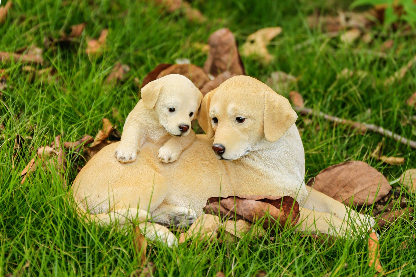 87638-B - Mother & Baby Labrador
