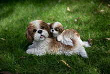 Load image into Gallery viewer, Mother &amp; Baby Shih Tzu
